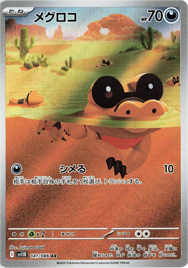Sandile - SV11B-141